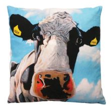 Tinahely Girl 45cm Cushion